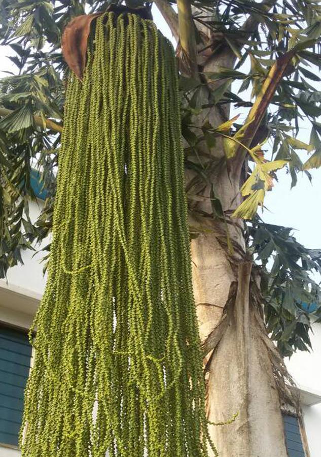 Hôtels Résidences Easy Cotonou Esterno foto